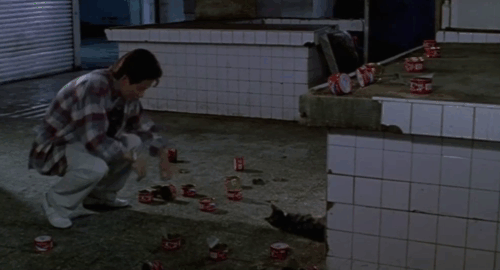 Dong - The Hole - man Kang-sheng Lee feeding tortie and white cat from can of food animated gif