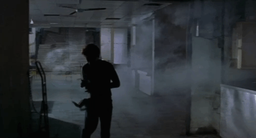 Dong - The Hole - man Kang-sheng Lee carrying tortie and white cat through marketplace being fumigated animated gif