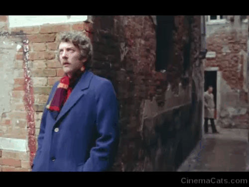Don't Look Now - John Donald Sutherland being watched by white cat with black markings looking out from gated window animated gif