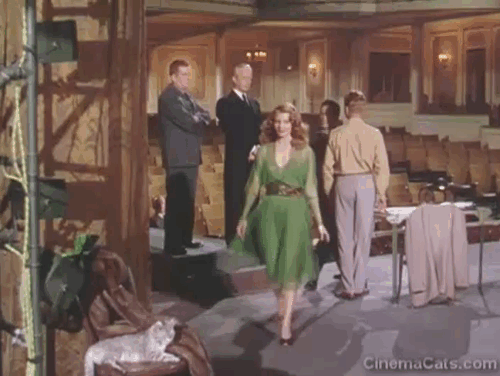 Down to Earth - Terpsichore Rita Hayworth crossing to stool with grey tabby cat and nudging it off animated gif