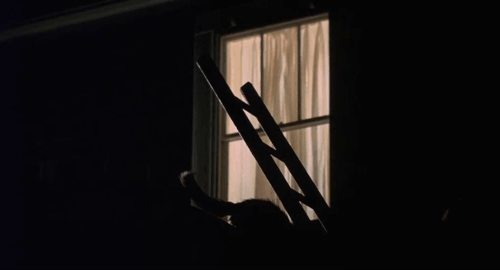 Drive, He Said - silhouette of man wearing coonskin cap carrying cat up ladder onto rooftop outside window animated gif