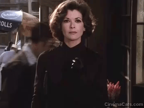 Dr. Strange - ginger tabby cat approaching door and getting electrified while Morgan LeFay Jessica Walter watches animated gif