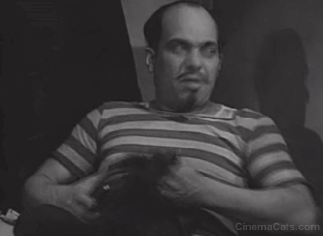 The Duke is Tops - white cat Satan with wig on his back animated gif