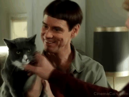 Dumb and Dumber To - Harry Jeff Daniels with grey and white cat Butthole showing butt animated gif