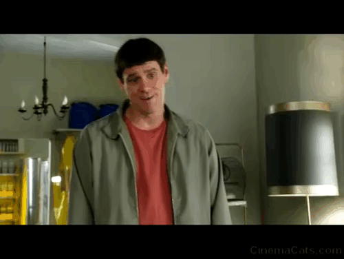 Dumb and Dumber To - Lloyd Jim Carrey with grey and white cat Butthole swinging on lamp animated gif