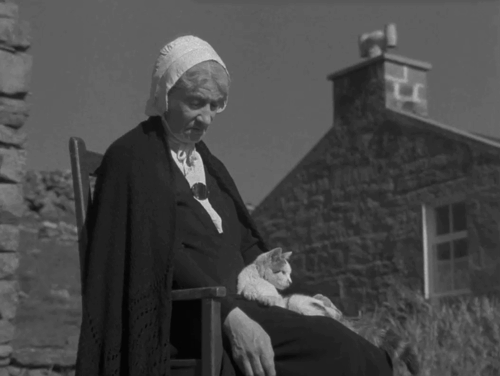 The Edge of the World - grandmother Jean Kitty Kirwan sleeping in chair with tabby and white cat climbing down from lap animated gif