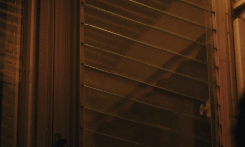 Eileen - Rebecca Anne Hathaway struggling to put cream colored Selkirk Rex Persian cat outside with Thomasin McKenzie animated gif