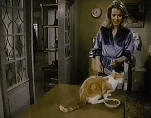 Eischied - Angels of Terror - ginger and white tabby cat P.C. given bowl of cat food by Irene Laraine Stephens but not eaten until promted by Joe Don Baker animated gif