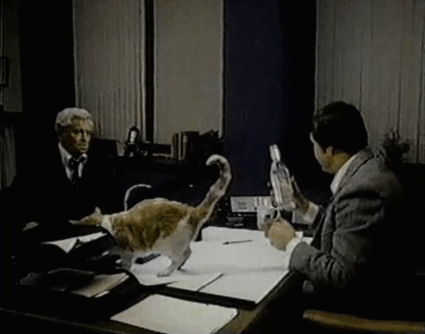 Eischied - Friday's Child - Parks Eddie Egan at desk with ginger and white tabby cat P.C. Waldo Kitty and Joe Don Baker animated gif