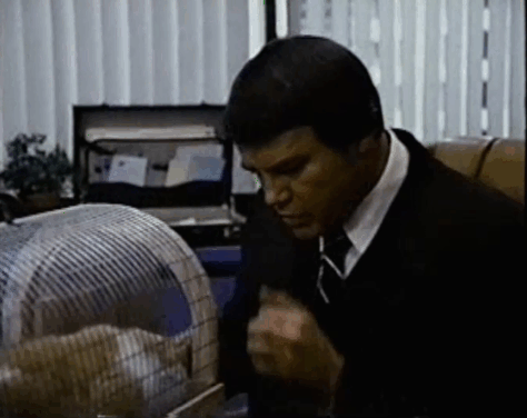 Eischied - Only the Pretty Girls Die - Joe Don Baker petting and kissing ginger and white tabby cat PC Waldo Kitty in carrier animated gif