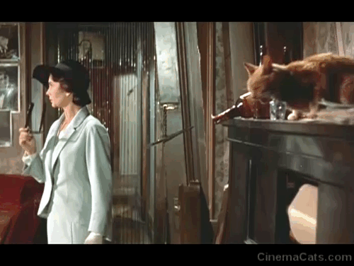 Elmer Gantry - Sister Sharon Jennifer Jones startled by ginger tabby cat knocking empty beer bottles off player piano animated gif