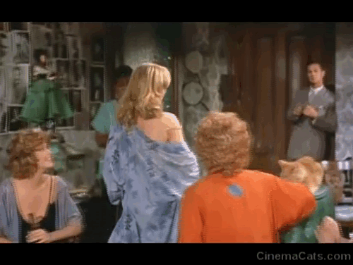 Elmer Gantry - Lulu Shirley Jones poking finger at ginger tabby cat and scaring him off cushion animated gif