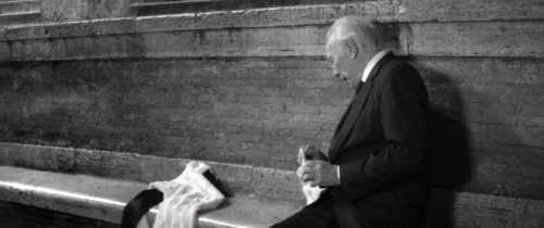 Elsa and Fred - Christopher Plummer offering ginger and white kitten some yoghurt animated gif