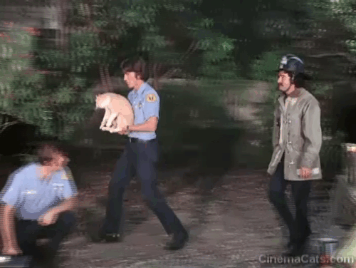 Emergency - The Unlikely Heirs - John Randolph Mantooth handing orange and white cat Simba to Mrs. Evans Elizabeth Kerr with Roy Kevin Tighe and Chet Tim Donnelly animated gif