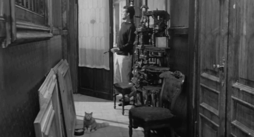 La Noia - Empty Canvas - Dino Horst Buchholz entering apartment with longhair tabby cat sitting in hallway animated gif