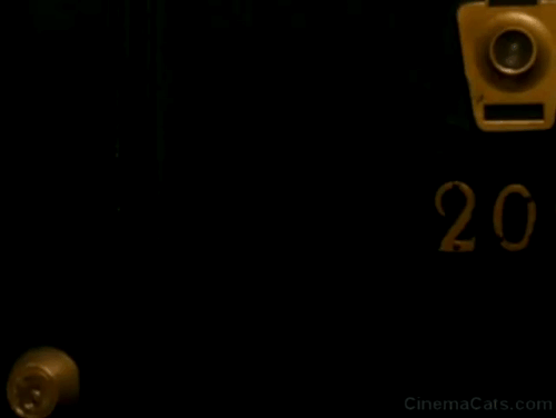 Enchanted - cat in man's arms hissing