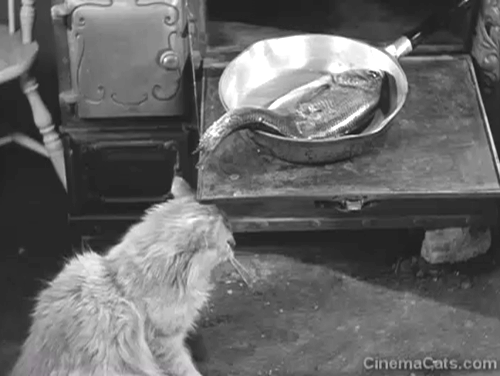 Even As IOU - longhair tabby cat stealing fish from pan and Curly Howard animated gif