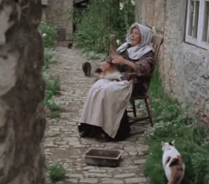 Exploits at West Poley - old woman Diana King with cats running away because of explosion animated gif