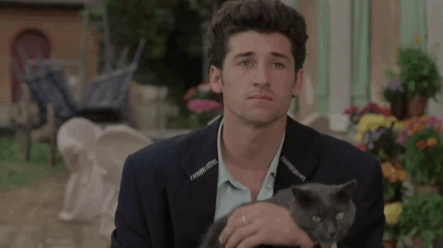 Face the Music - Charlie Patrick Dempsey kissing large gray cat Thelonious Gros Minet animated gif