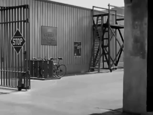 The Falcon in Hollywood - black cat crossing driveway of movie studio animated gif