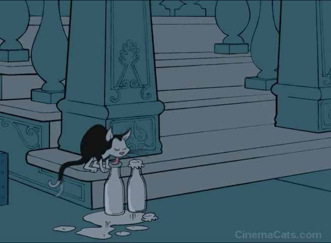 Fantasia 2000 - black and white cat spinning into bottle