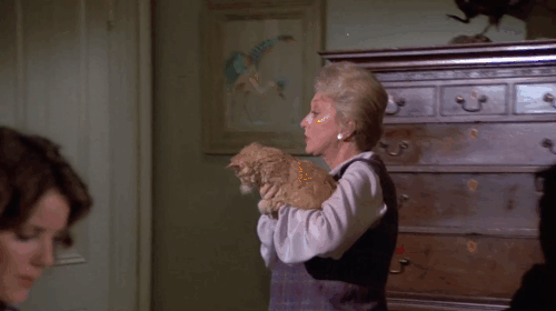 Fantasy Island - Beachcomber / The Last Whodunnit - Evelyn Judith Chapman with Mabel Celeste Holm holding biting and licking ginger tabby cat Hercule animated gif