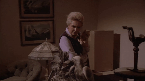 Fantasy Island - Beachcomber / The Last Whodunnit - Mabel Celeste Holm holding ginger tabby cat Hercule who paws at stuffed bird animated gif