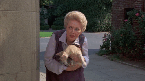Fantasy Island - Beachcomber / The Last Whodunnit - Mabel Celeste Holm releasing ginger tabby cat Hercule who runs in front of Great Dane Mandrake causing diversion animated gif