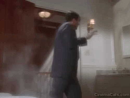 Fatal Instinct - tortoiseshell cat jumps out of medicine cabinet and scares Ned Ravine Armand Assante animated gif