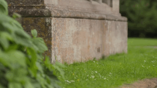 Father Brown - The Cat of Mastigatus - black cat walking near wall animated gif