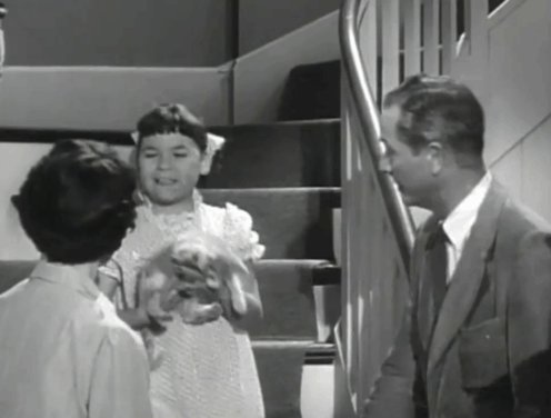 Father Knows Best - Kathy Makes Magic - Lauren Chapin holding tabby kitten Fluffy on stairs with Jane Wyatt and Robert Young animated gif