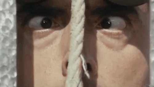 La feldmarescialla - Nazi soldier pulling on white cat's fake tail instead of bell pull animated gif