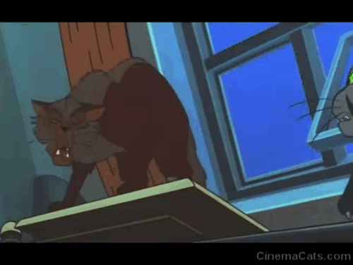 Felidae - black and tan cat Francis and aged Pascal Claudandus fighting in fire animated gif