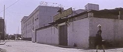 La Femme et la Pantin - The Female - A Woman Like Satan - grey cat on street with Eva Brigitte Bardot animated gif