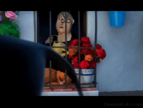 Ferdinand - cat freaking out in window after being accidentally watered animated gif