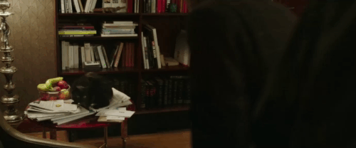 The Fifth Estate - black cat Schmitt on newspapers on table being chased off by Edgar Selge as Assange Benedict Cumberbatch watches animated gif