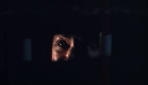 Final Hour - Sidste Time - Nicoline Lena Laub Oksen pleading for help from brown tabby cat walking away from grating animated gif