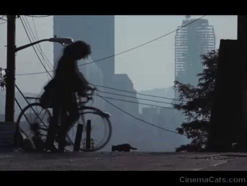 Flashdance - silhouette of Alex Jennifer Beals on bike petting kitten on street animated gif