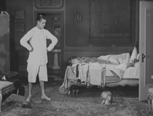 Forgotten Sweeties - Thurston Charley Chase paddling longhair tabby cat and taking him across hall before neighbor James Finlayson sends cat back animated gif
