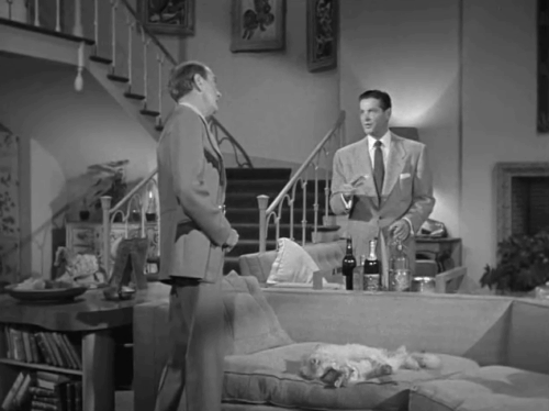 For Heaven's Sake - Jeff Robert Cunnings with Charles Slim Clifton Webb looking at silver Persian cats Alfred and Lynn on couch animated gif