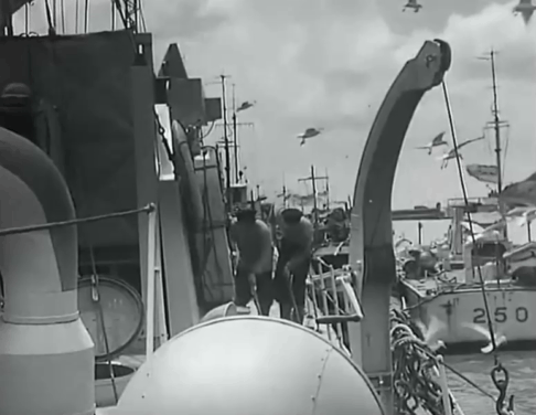 For Those in Peril - tabby kitten jumping up step to avoid water and mops on ship animated gif