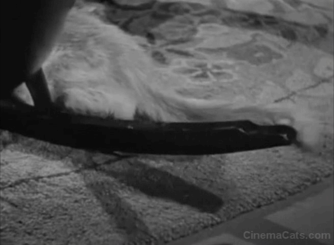 Dizzy Detectives - long-haired cat's tail swishing under rocking chair animated gif