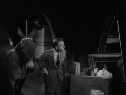 Francis in the Haunted House - ginger tabby cat Orangey on floor being kicked by David Prescott Mickey Rooney animated gif