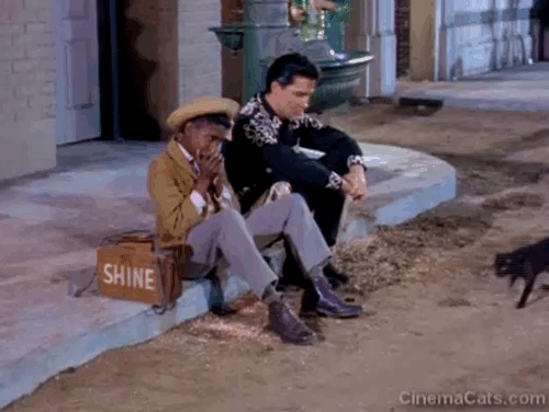 Frankie and Johnny - Johnny Elvis Presley with boy on sidewalk watching black cat pass animated gif