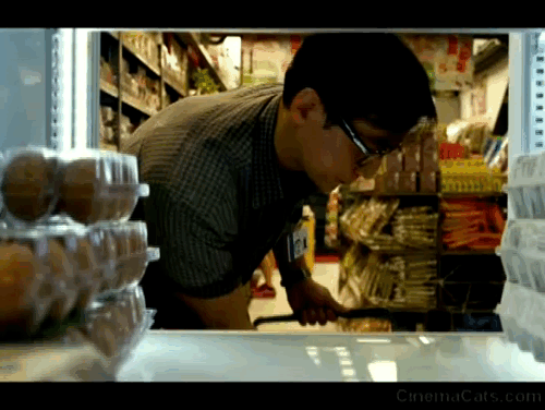 Geostorm - orange and white cat jumping onto shelf of refrigeration unit in convenience store animated gif
