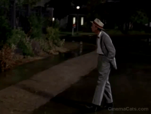 The Ghost and Mr. Chicken - Luther Heggs Don Knotts scared by black cat animated gif