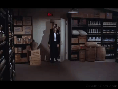 Giant - tuxedo cat running across floor in front of Bick Rock Hudson and Jett James Dean animated gif