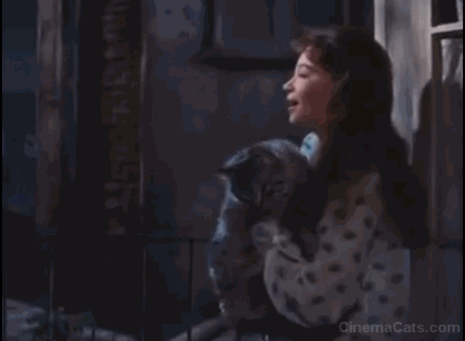 Gigi - Leslie Caron holding up Maine Coon cat animated gif