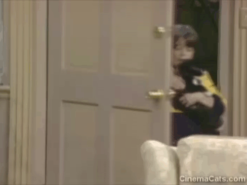 Gimme a Break - Cat Story - Joey Lawrence carrying tuxedo cat Sherlock into house with Officer Simpson Howard Morton behind animated gif