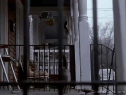 Girl, Interrupted - Ruby gray cat on porch animated gif